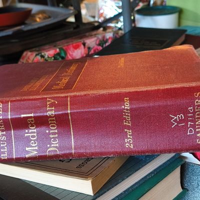 Sale Photo Thumbnail #1223: Dorland's Illustrated Medical Dictionary, 23rd Edition