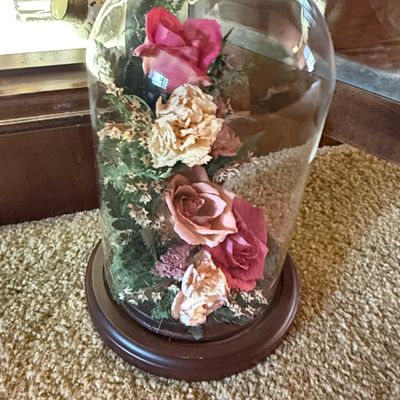 Sale Photo Thumbnail #585: Natural Expressions Freeze-Dried Floral Cloche