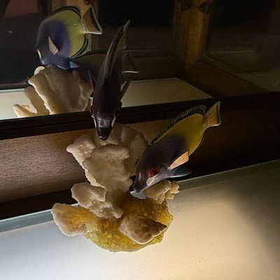Sale Photo Thumbnail #107: Cybis Porcelain Fish Sculpture