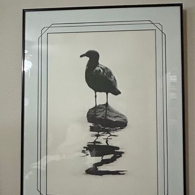 Sale Photo Thumbnail #1041: Framed Seagull Silhouette Print