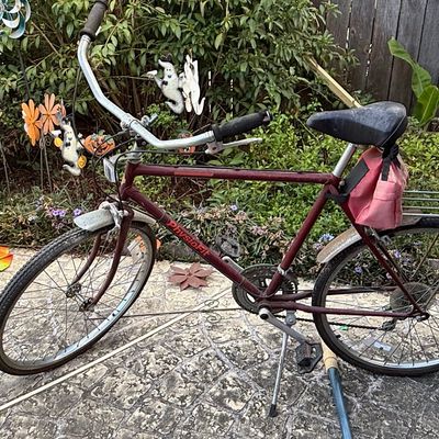 Sale Photo Thumbnail #241: Vintage Free Spirit PhysioFit 10-Speed Bicycle