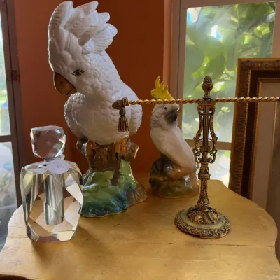 Sale Photo Thumbnail #126: BIRDS SOLD