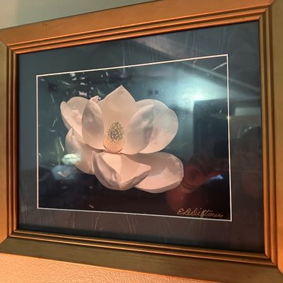 Sale Photo Thumbnail #20