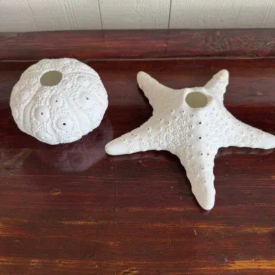 Sale Photo Thumbnail #57: Pair of white ceramic coastal decor candle holders shaped like a sea urchin and a starfish, resting on a dark wood surface.