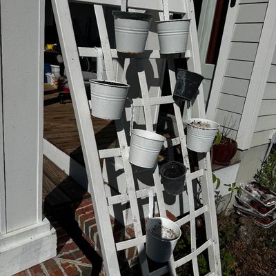 Sale Photo Thumbnail #177
