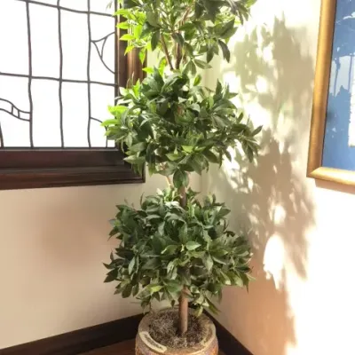 Sale Photo Thumbnail #104: Tall faux three-tiered topiaried tree set in an ornate Asian-style ceramic planter.