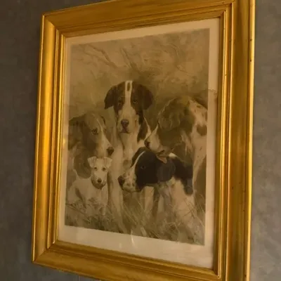 Sale Photo Thumbnail #132