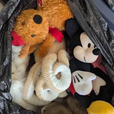 Sale Photo Thumbnail #134: Sw229 stuffed animal mystery lot
