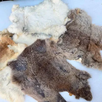 Sale Photo Thumbnail #220: Sw321 rabbit pelts