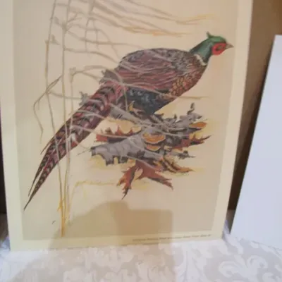 Sale Photo Thumbnail #355: Horse 6" x 8-1/2", pheasant 8-1/2" x 11", parrots 8-1/2" x 11", oryx 11-1/2" x 8-1/2", See pictures