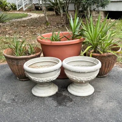 Assorted outdoor garden planters, including a pair of concrete pedestal urns with relief garland details and terracotta pots with live...