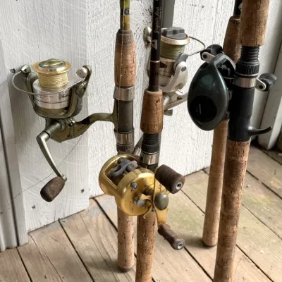 Collection of four fishing rods with attached reels, including spinning and baitcasting setups with cork handles.