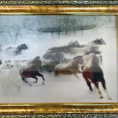 Sale Photo Thumbnail #48