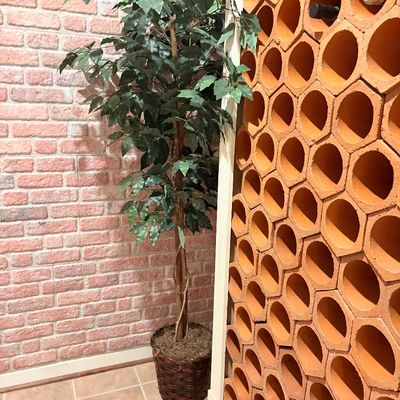 Sale Photo Thumbnail #246: Potted artificial ficus tree in a woven basket planter, set against a faux-brick wall next to a terracotta honeycomb wine rack structure.