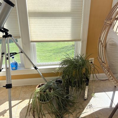 Sale Photo Thumbnail #119: Silver refractor telescope mounted on a metal adjustable tripod standing in a sunroom next to potted house plants.