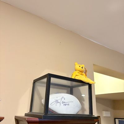 Sale Photo Thumbnail #190: Autographed white football displayed in a glass case alongside a yellow beanie plush toy resting on top.