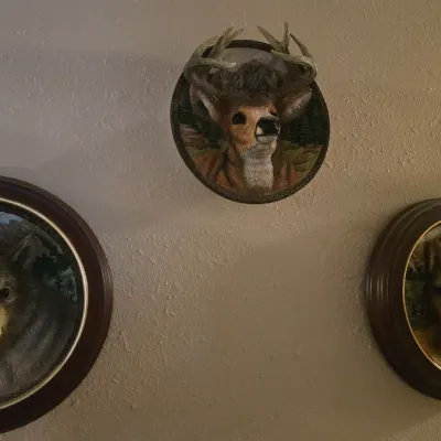 Sale Photo Thumbnail #26: Collection of three-dimensional wall-mounted wildlife art pieces in circular frames, featuring depictions of a wolf, deer, and big cat.