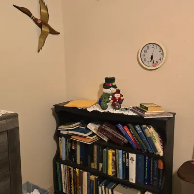 Sale Photo Thumbnail #20: Dark painted three-shelf low bookcase filled with assorted hardcovers, accompanied by mid-century brass and wood flying duck wall art and a simple round wall clock.
