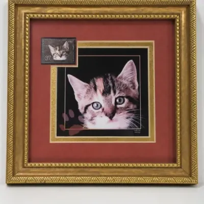 Sale Photo Thumbnail #108