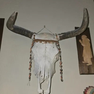 Sale Photo Thumbnail #43: Decorated steer skull wall mount with large horns and beaded headband accessory.