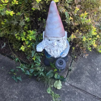 Sale Photo Thumbnail #124: Weathered concrete garden gnome statue with faded paint, standing near garden foliage.