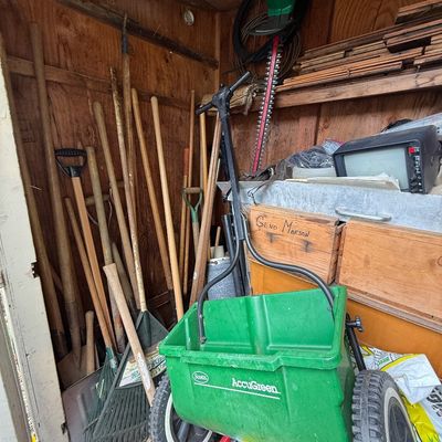 Collection of lawn and garden tools inside a wooden shed, featuring a green Scotts AccuGreen walk-behind fertilizer spreader, rakes,...