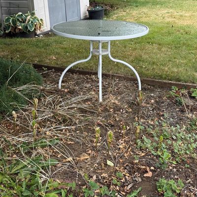 Round patio table with a white metal base and textured glass top, placed in a backyard garden area.