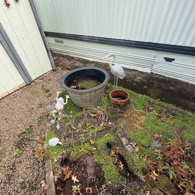 Collection of outdoor garden decor, including a barrel-style water basin, a white crane statue, a frog statue, and a terracotta planter.