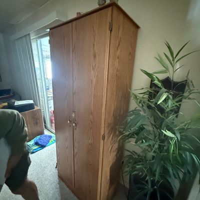 Tall light oak finish two-door storage cabinet or armoire standing next to a potted artificial plant.