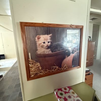 Framed photographic print depicting two kittens sitting inside a clay flowerpot, housed in a medium-oak finish wooden frame.