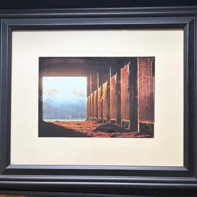 Sale Photo Thumbnail #43: Pottery Barn Stable Framed Print 