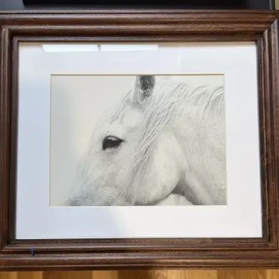 Sale Photo Thumbnail #42: Pottery Barn Horse Silhouette Framed Print 