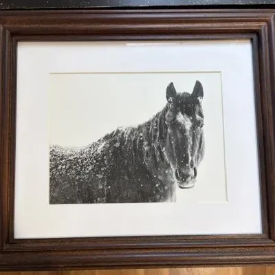 Sale Photo Thumbnail #41: Pottery Barn Horse Framed Print 