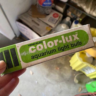 Sale Photo Thumbnail #142: Vintage Penn-Plax Color-Lux aquarium light bulb in original green and white cardboard box.