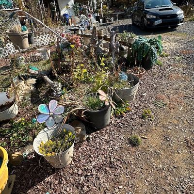 Sale Photo Thumbnail #156