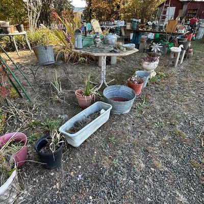Sale Photo Thumbnail #149