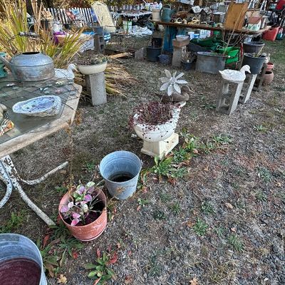 Sale Photo Thumbnail #147
