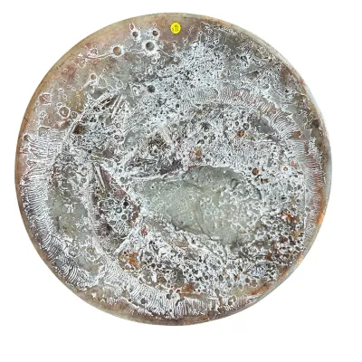 Sale Photo Thumbnail #245: LARGE FISH FOSSIL ART DISPLAY PLATE