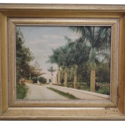 Sale Photo Thumbnail #318: VINTAGE FLORIDA COLORED PHOTOGRAPH