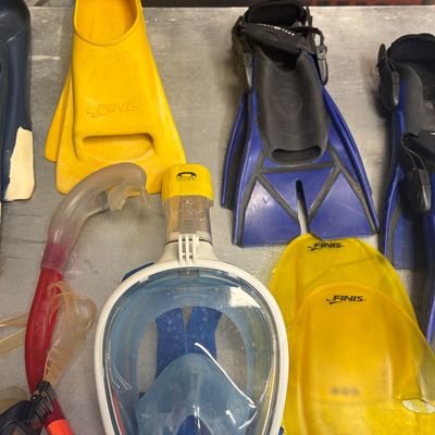 Sale Photo Thumbnail #23: Collection of snorkeling gear including multiple pairs of swim fins, a modern full-face mask, a traditional snorkel tube, and yellow Finis swim paddles.