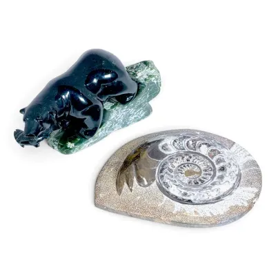 Sale Photo Thumbnail #217: Polished hand-carved jade bear figurine with a fish in its mouth alongside a cut and polished ammonite fossil display piece.
