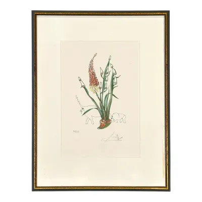 Sale Photo Thumbnail #74: Framed Salvador Dalí surrealist botanical lithograph, pencil-signed and numbered 143/350, presented in a gold and dark wood frame.