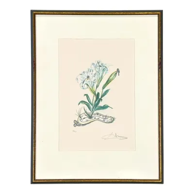 Sale Photo Thumbnail #73: Framed Salvador Dalí surrealist floral lithograph with signature, housed in a thin gilt and black frame with white matting.
