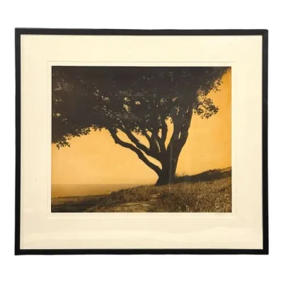 Sale Photo Thumbnail #67: Framed sepia-toned landscape print depicting a prominent tree on a grassy hill overlooking the horizon, presented in a black frame with a off-white mat board.