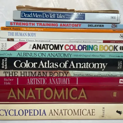 Vintage & Modern Anatomy Book Collection – 11-Book Reference For Artists, Students & Illustrator