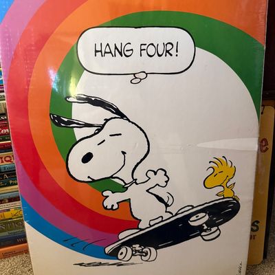 Sale Photo Thumbnail #51: Vintage Peanuts poster featuring Snoopy and Woodstock skateboarding with a rainbow graphic and 'HANG FOUR!' speech bubble.