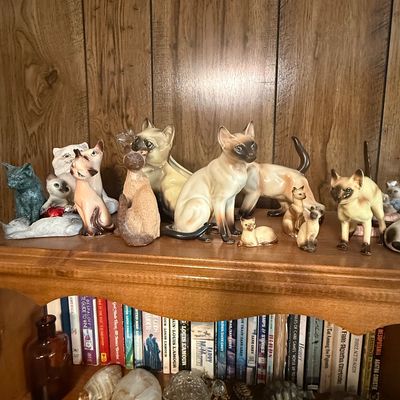 Sale Photo Thumbnail #36: Collection of vintage cat figurines displayed on a shelf above a row of paperback books and various decorative turtle sculptures.