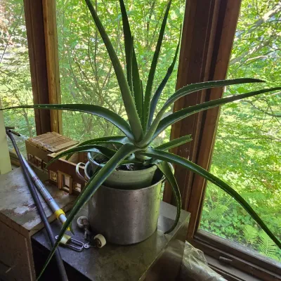 Sale Photo Thumbnail #248