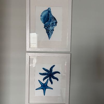 Pair of modern cyanotype-style coastal art prints, featuring a sea shell and starfish in simple white frames.