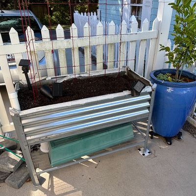 Elevated galvanized corrugated metal raised garden bed with a bottom shelf and attached red wire trellis, shown alongside a large blue...